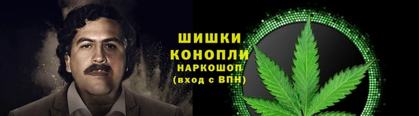 дурь Нея