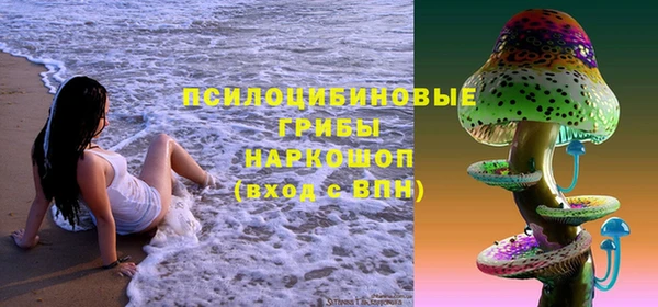 дурь Нея