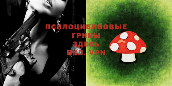хмурый Новозыбков