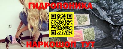 дурь Гатчина