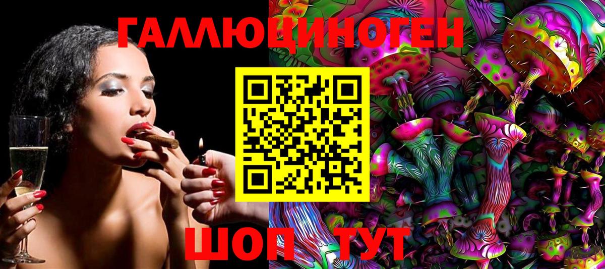 Галлюциногенные грибы Psilocybe Анапа