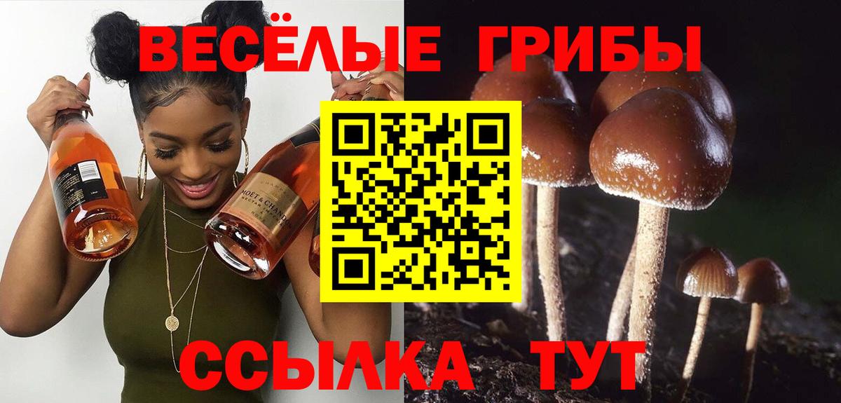 наркота  Вход с VPN  Анапа  Псилоцибиновые грибы MAGIC MUSHROOMS 